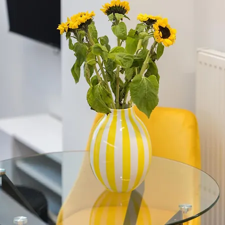 Splash Modern Lofts By Binobi! Appartamento *