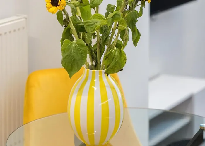 Splash Modern Loft By Binobi!